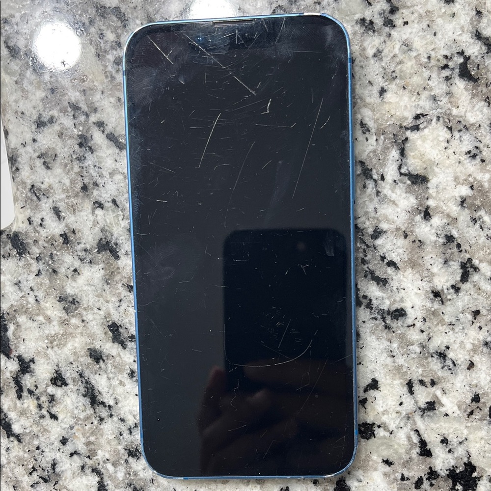 Apple Smartphone in Blue and Black